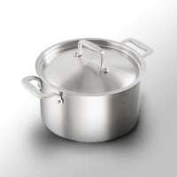 Stainless Clad Stockpot